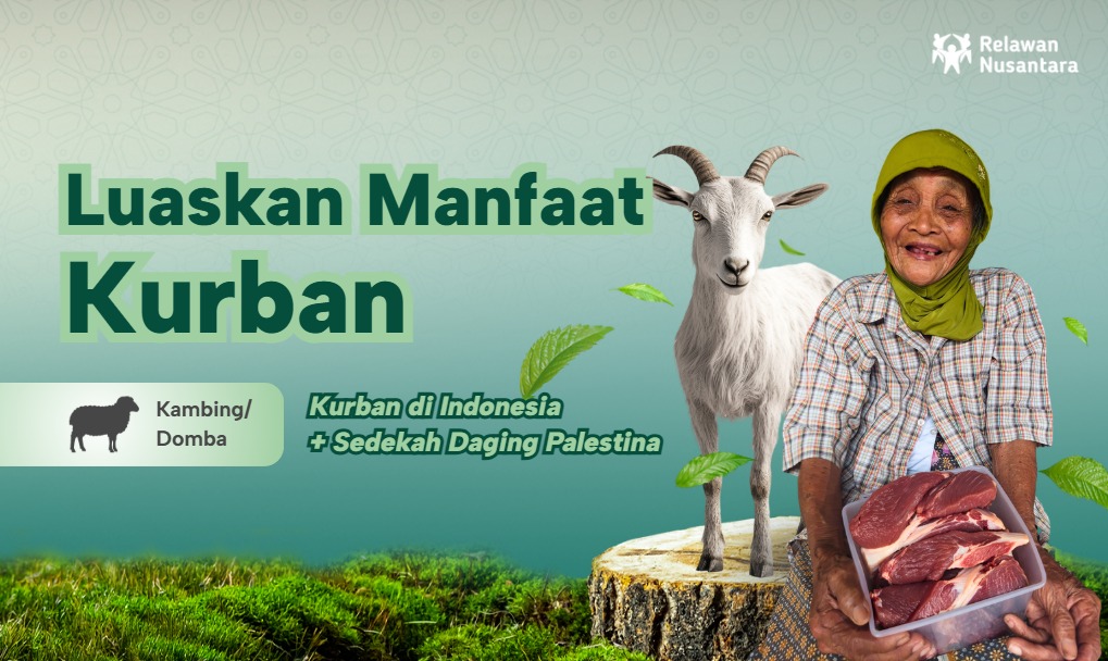 Kurban Kambing Domba Indonesia
