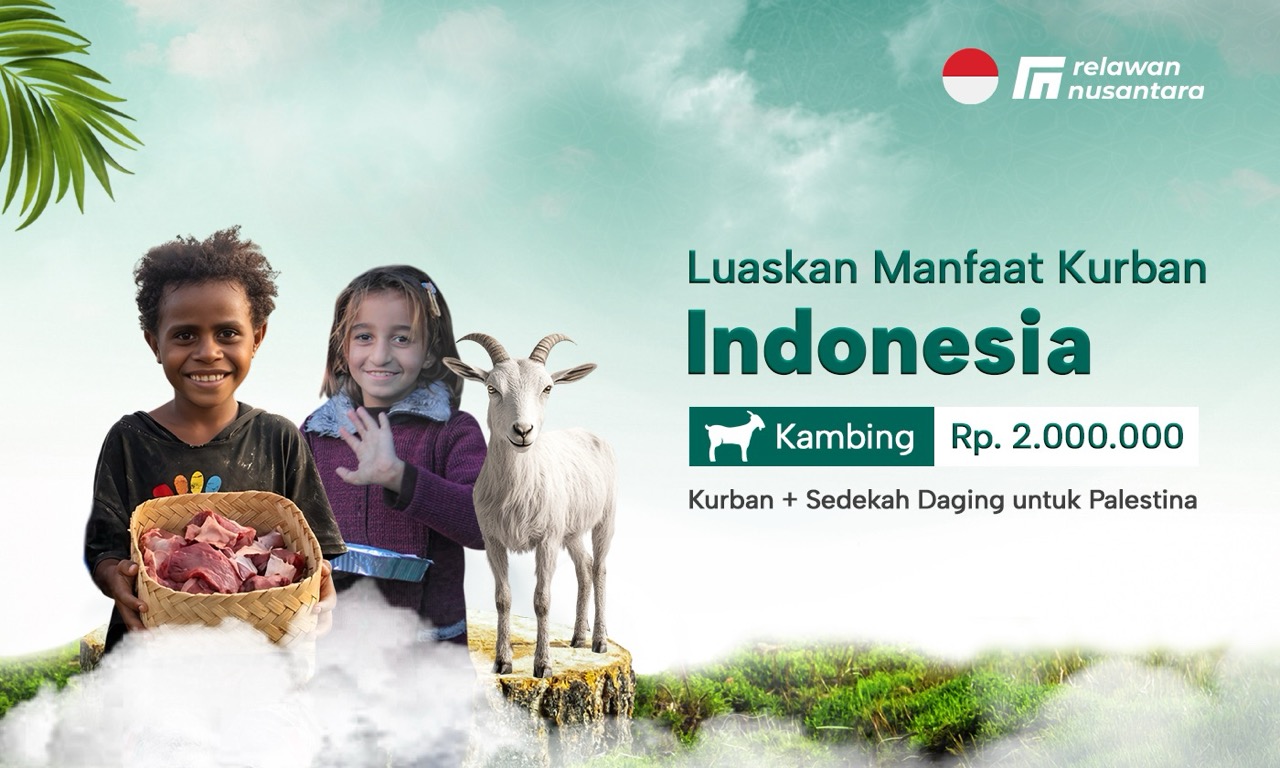 Kurban Kambing Domba Indonesia